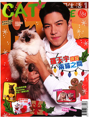 KVH-cats-life-thumbnail KVH-cats-life-thumbnail