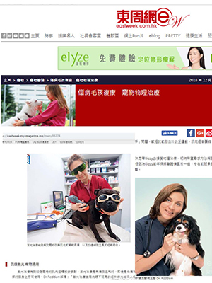 KVH-eastweek-web-thumbnail KVH-eastweek-web-thumbnail